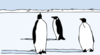 Penguins On Ice Clip Art